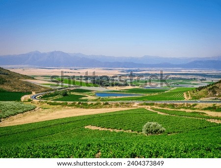 Aerial shot of Darling vineyards and wine farms, Western Cape, South Africa Royalty-Free Stock Photo #2404373849