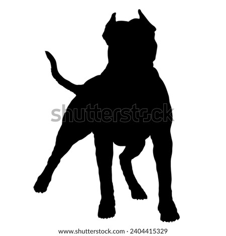 Dog American pit bull stands silhouette Breeds Bundle Dogs on the move. Dogs in different poses.
The dog jumps, the dog runs. The dog is sitting lying down is playing
