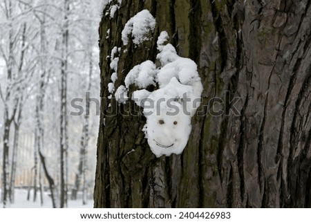 Face with a smile is painted on a tree covered with snow in winter. Funny close-up drawing, humor pattern. Royalty-Free Stock Photo #2404426983