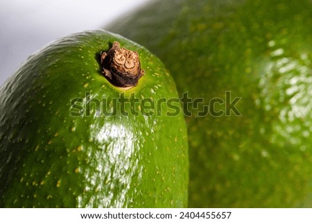 A very interesting and delicious green fruit pictured on a white background. The name of the fruit is avocado and it is photographed macro, showing the branch from which it was cut.