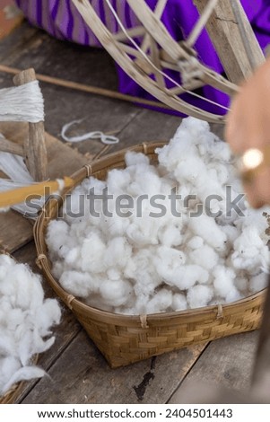 Sprigs of cotton close-up. Beautiful fluffy cotton