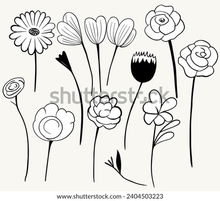 Monochrome doodle flowers. Floral elements set. Outline botanical illustration. Hand drawn isolated plants.