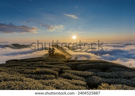 morning light mountain range blue hour outdoor exploration serenity alpine scenery