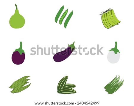 Set of vegetables flat vector illustration. Vegetable food collection. Bottle Gourd, Green Pea, Bean, Brinjal, Eggplant, White Brinjal, Pointed Gourd.