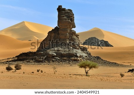SAND DUNES AND ROCK FORMATIONS IN THE SAHARA DESERT IN THE PROVINCE OF TADRART ROUGE IN ALGERIA Royalty-Free Stock Photo #2404549921