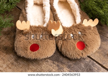 Funny slippers in the shape of a deer and fir banch on wooden background. Christmas picture. Close-up