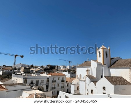 White storks on a local church in Faro, Portugal	