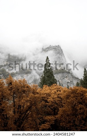 Vertical image of Autumn Yosemite National Park Foggy Granite Mountains colorful meadows and trees