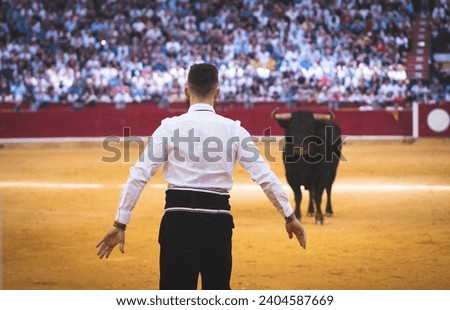 Bullfighting in Spain, Tradition, Culture, Devotion and Art Royalty-Free Stock Photo #2404587669
