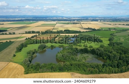 Lowland fens meadow, drone aerial wetland swamp Hrdiboricke ponds, endangered habitat and a natural monument, reed common broadleaf cattail bulrush pond drought dry dries Europe Royalty-Free Stock Photo #2404609279