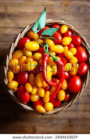 Basket on a Table Full of Beautiful Home Grown Organic tomatoes and some Chilly