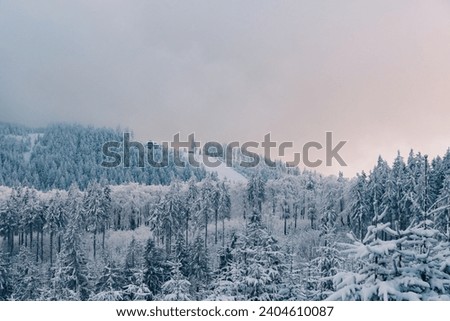 Frozen winter forest under grey snow sky