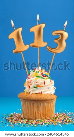 Candle number 113 - Cake birthday in blue background
