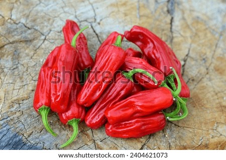 Ripe red mildly hot pepper Pepperoncini Greek of the species Capsicum annuum on a wooden background. Royalty-Free Stock Photo #2404621073