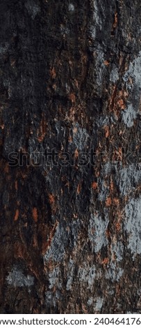 "Close-up of natural wood bark with a rich texture, perfect for graphic design and artistic projects. The warm tones create a captivating backdrop for various creative purposes and visual marketing