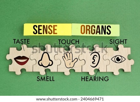 Puzzle with five Sense organs icons namely sight, hearing, smell, teste and touch. basic 5 human senses