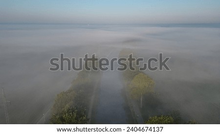 This serene image offers an aerial perspective of a country road cutting through a landscape shrouded in morning fog. The road is bordered by neat rows of trees, which partially emerge from the soft