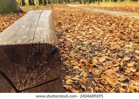 Abstract photograph of a corner detail of a wooden bench from a rough log. Focusing on the edge of the bench. Deciduous autumn leaves in the background, out of focus. Autumn forest, deciduous leaves.