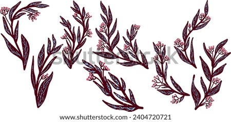 
Burgundy branches with berries. Plant texture graphic elements. Vector set, clipart.