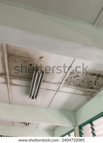 damped ceiling with mold and watermark due to broken roof and the crack of the concrete slab
