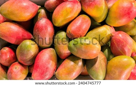Lots of ripe mangoes for a large group of friends. A sunny mood that I want to share.