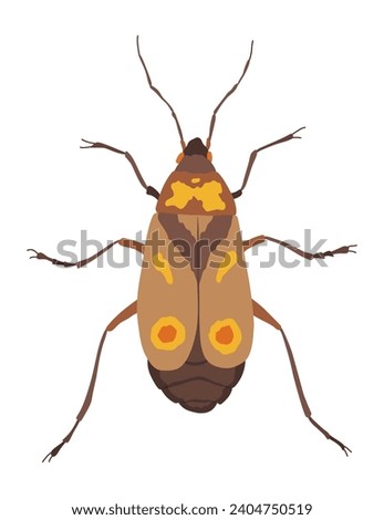 Oncopeltus varicolor. Insect icon flat isolated stock vector illustration