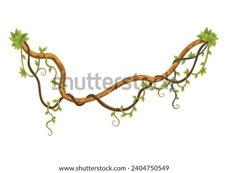 Liana branch. Twisted wild jungle vine plants. Woody natural tropical rainforest, exotic botany element. Vector design element Royalty-Free Stock Photo #2404750549
