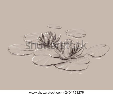 hand drawn illustration of flowers