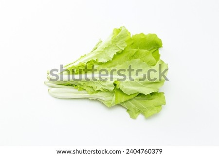 Shandong cabbage on a white background. Royalty-Free Stock Photo #2404760379