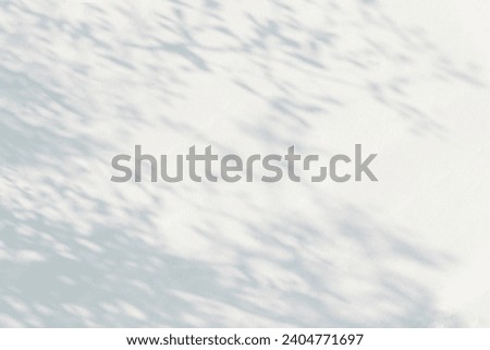 Abstract leaf shadow and light blurred background. Natural tropical plant leaves tree branch shadows sunlight on white wall texture for shadows overlay effect foliage mockup wallpaper and design
