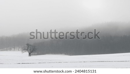 Landscape in winter. Mist rises high from the trees. A bare tree in the foreground. Snow lies on the field. It is dark. The sun barely shines.