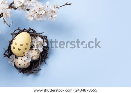 Nest with Easter eggs and a flower branch on a blue background flat lay, top view