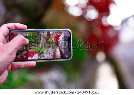 A smartphone shooting piled up red leaves in the narrow gutter in autumn