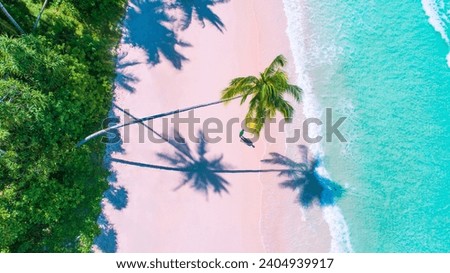Aerial landscape view of tropical summer palm trees shadows on sandy coast ocean waves splash crash.