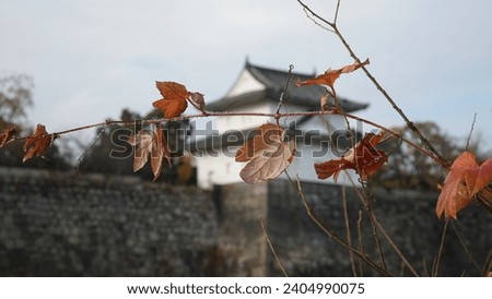 Bokeh image of red leaves with a castle as background