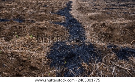 Enhancing Soil Quality for Agricultural Purposes
