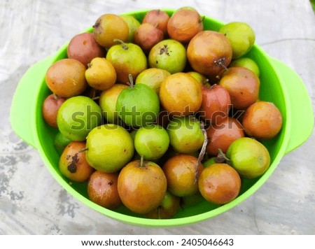 There are several benefits of bidara fruit, namely increasing body immunity, improving digestive health, and improving sleep quality. Royalty-Free Stock Photo #2405046643