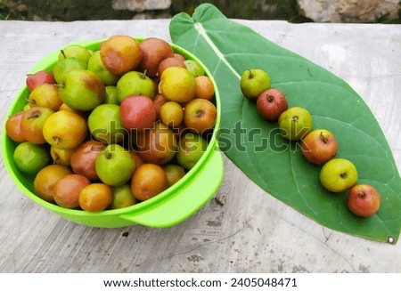 There are several benefits of bidara fruit, namely increasing body immunity, improving digestive health, and improving sleep quality. Royalty-Free Stock Photo #2405048471