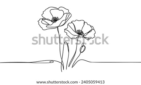 Poppy flowers in continuous line art drawing style. Doodle floral border with two flowers blooming among grass. Minimalist black linear design isolated on white background. Vector illustration Royalty-Free Stock Photo #2405059413