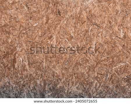 Oriented strand board (OSB) wood texture background. The material is cheap and used at a construction site. Abstract rough pattern of the compressed wooden splinters.