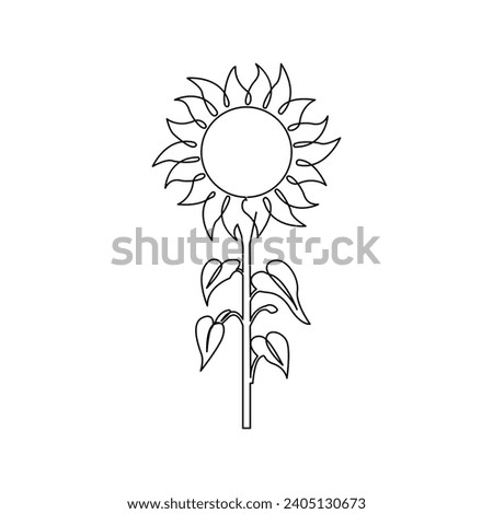 Sunflower in a continuous one line style hand drawn outline of flower isolated on white background.Sunflower one continuous line art out line minimal