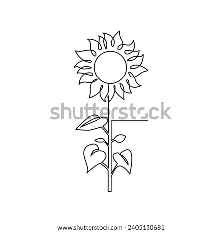 Sunflower in a continuous one line style hand drawn outline of flower isolated on white background.Sunflower one continuous line art out line minimal