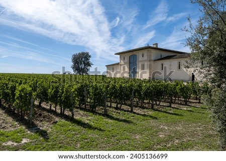 Harvest of grapes in Pomerol village, production of red Bordeaux wine, Merlot or Cabernet Sauvignon grapes on cru class vineyards in Pomerol, Saint-Emilion wine making region, France, Bordeaux Royalty-Free Stock Photo #2405136699