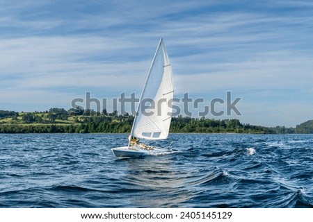 small laser sail boat in the lake during a summer day