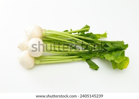 Turnip on a white background.