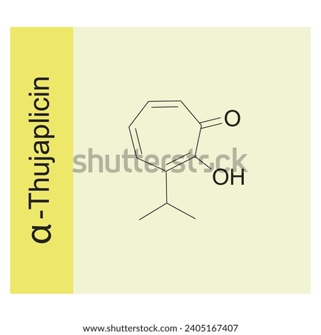 α-Thujaplicin skeletal structure diagram.Monoterpenoid compound molecule scientific illustration on yellow background. Royalty-Free Stock Photo #2405167407