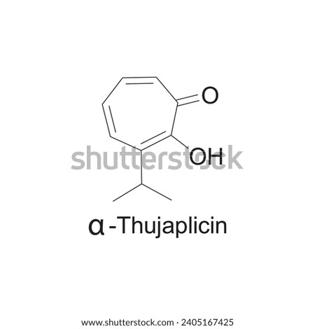α-Thujaplicin skeletal structure diagram.Monoterpenoid compound molecule scientific illustration on white background. Royalty-Free Stock Photo #2405167425