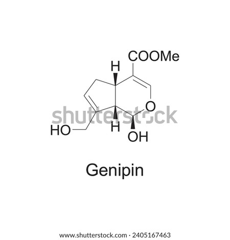 Genipin skeletal structure diagram.Monoterpenoid compound molecule scientific illustration on white background. Royalty-Free Stock Photo #2405167463