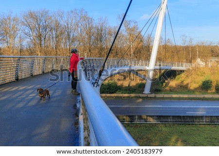 Woman standing with her dog on cable-stayed bridge for bicycles and pedestrians, looking towards highway, bare trees in background in Hoge Kempen national park, autumn day in As Limburg, Belgium