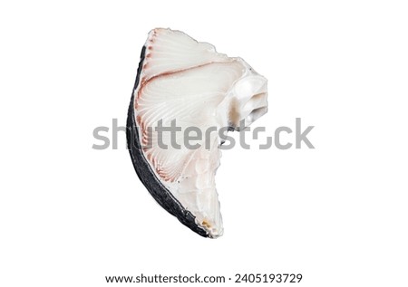 Raw Shark fish steaks Isolated on white background, top view